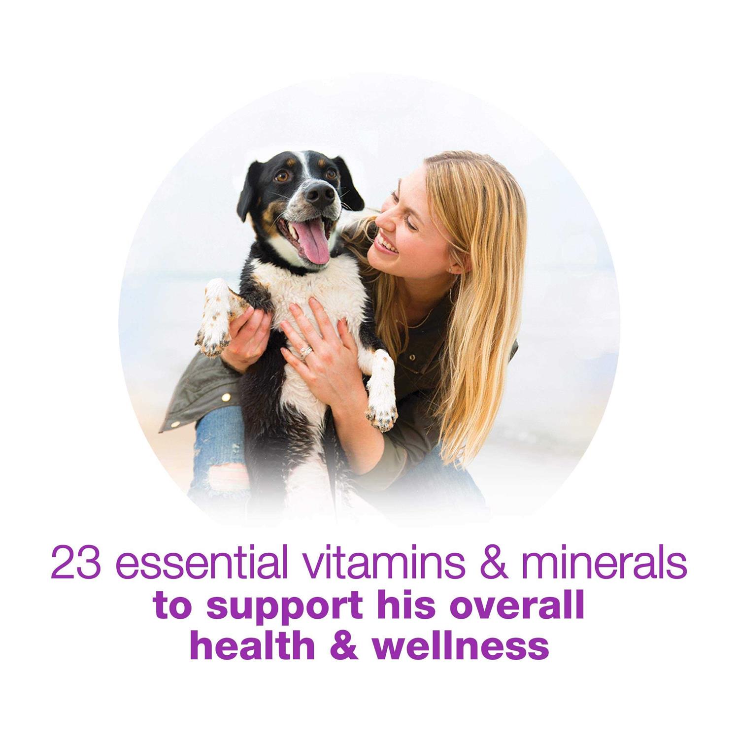 Purina Beneful Chopped Blends Wet Dog Food - Pet Supplies online store