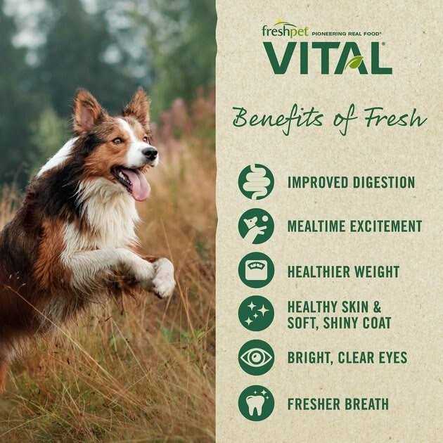 Freshpet Vital Complete Meals Grain-Free Chicken Fresh Small Breed Dog Food - Pet Supplies online store