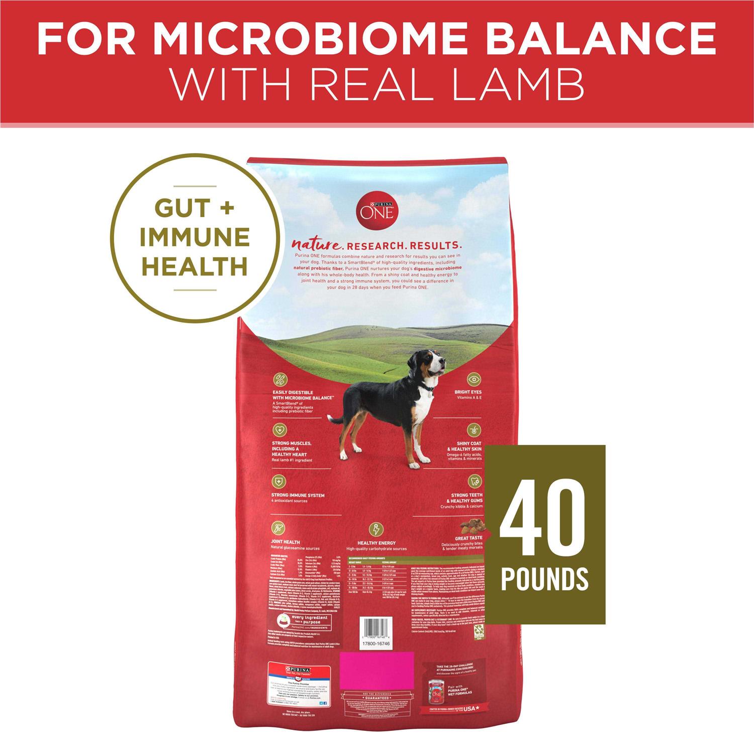 Purina ONE SmartBlend Lamb & Rice Dry Dog Food - Pet Supplies online store