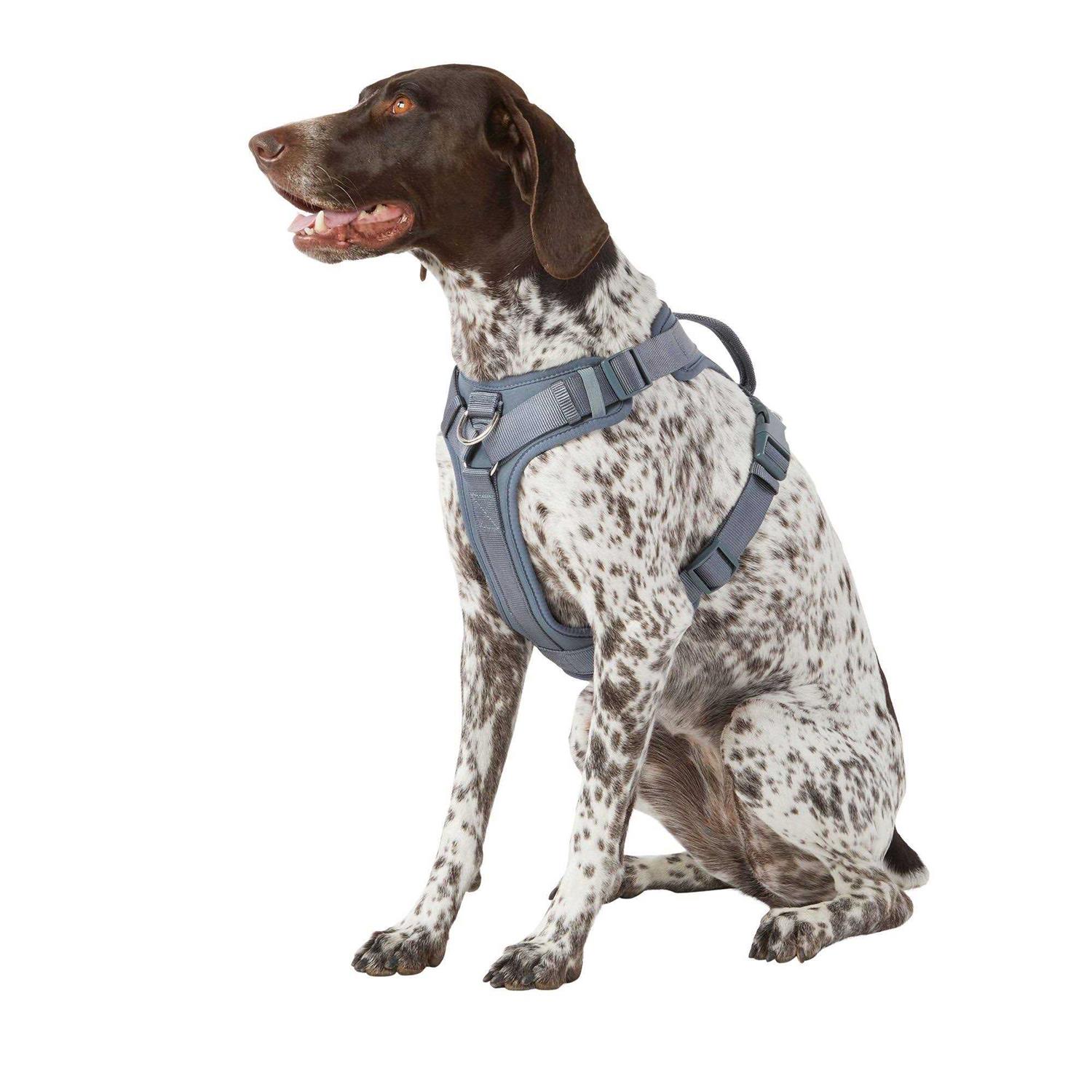 Top Paw Core Fashion Adjustable Comfort Dog Harness - Pet Supplies online store