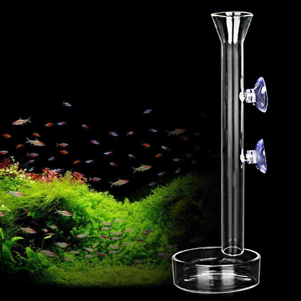 AnxunJim Aquarium Shrimp Feeding Tube and Dish Clear Crystal Glass Fish Tank Shrimp Feeder Tube Tray - Pet Supplies online store
