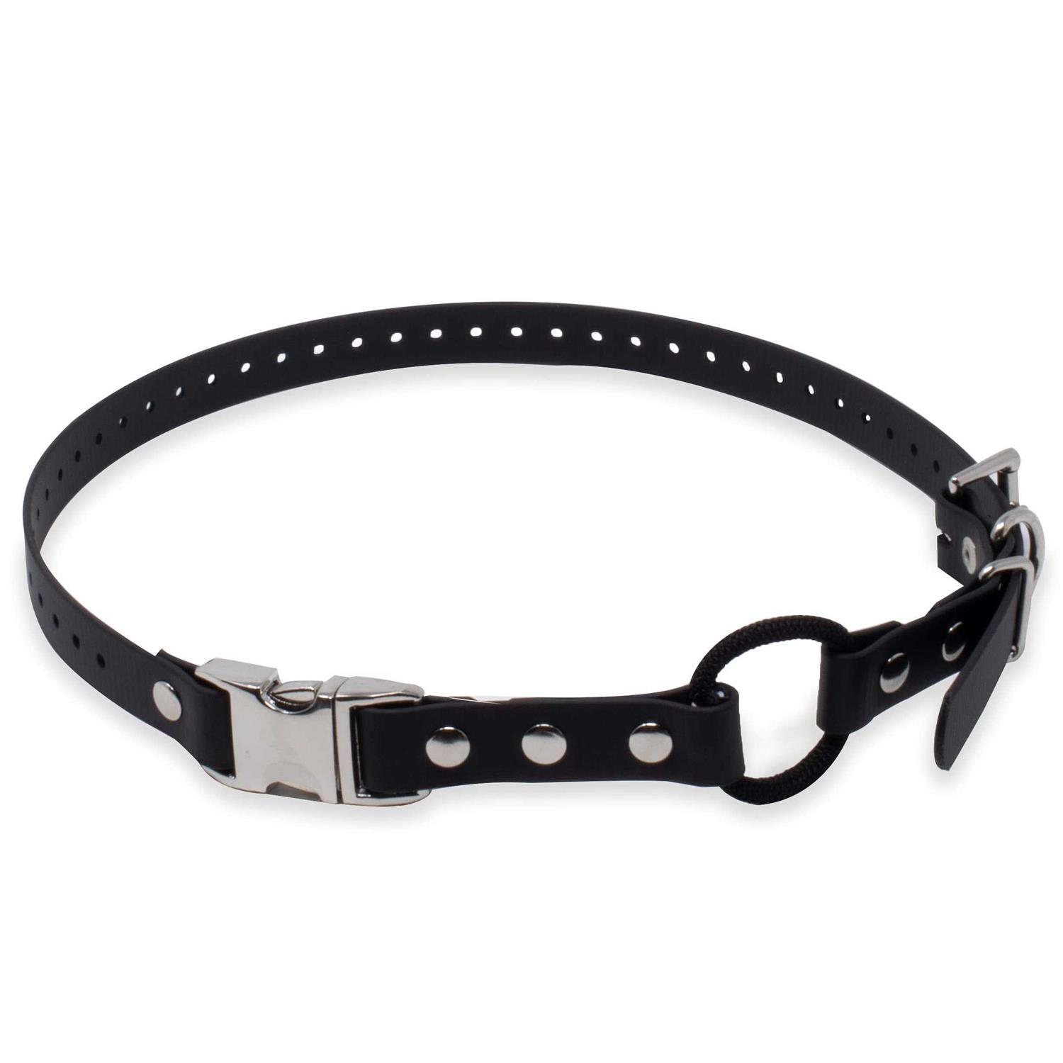 Educator Quick Snap Bungee Collar - Pet Supplies online store