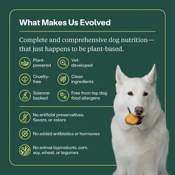 Wild Earth Golden Rotisserie Flavor Maintenance Formula Dry Dog Food - Pet Supplies online store