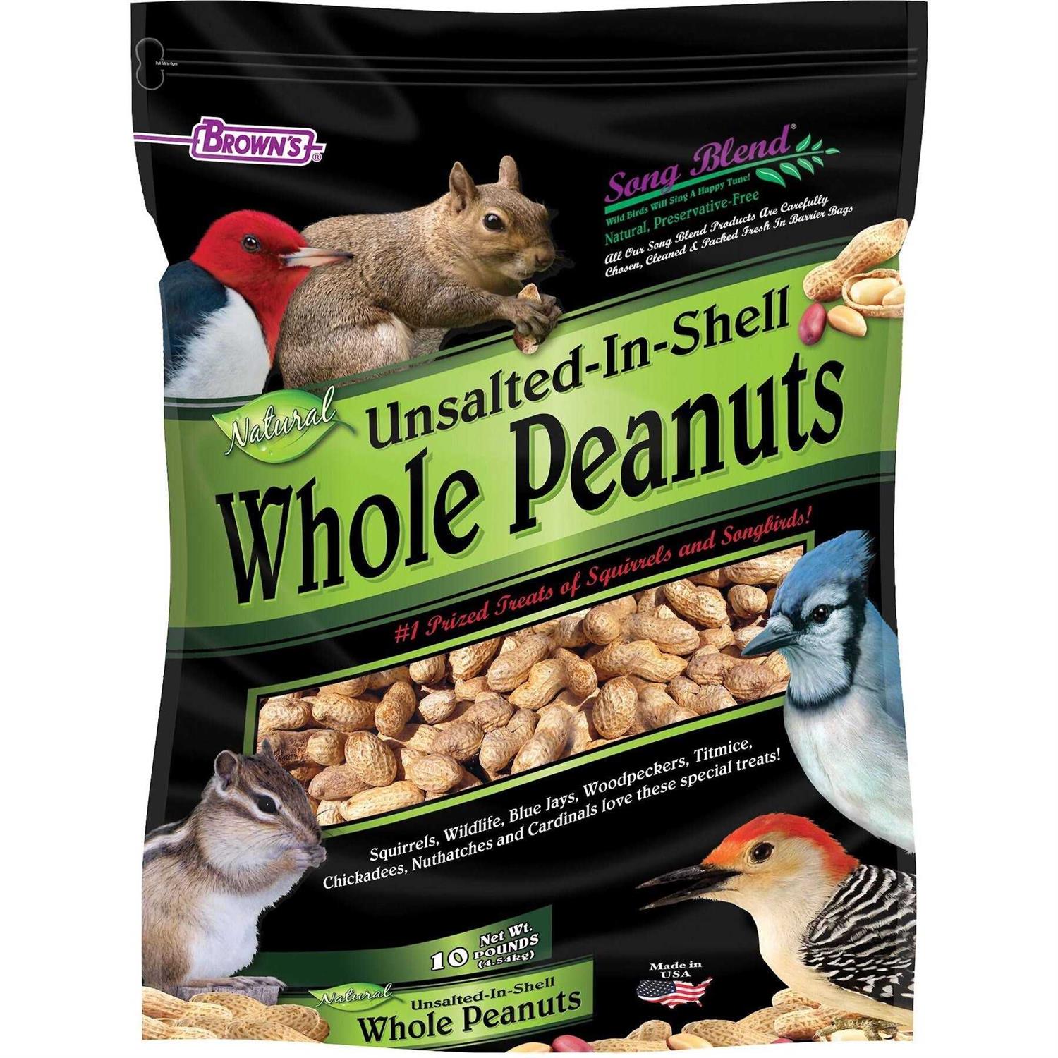Song Blend Unsalted In-Shell Whole Peanuts Bird Food - Pet Supplies online store