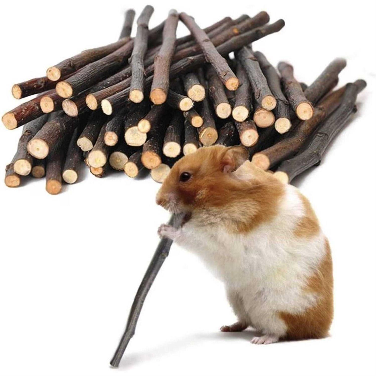 SunGrow Apple Sticks 200g Wood Chew Sticks for Rabbits Chinchillas - Pet Supplies online store