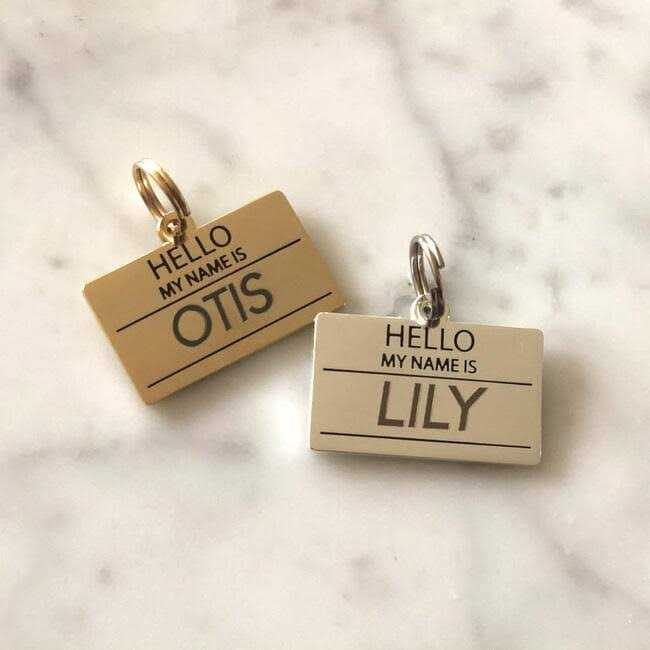 Two Tails Pet Company Hello My Name is ID Tag - Pet Supplies online store