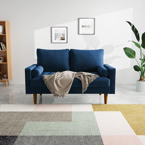 Velvet Furniture for Small Spaces, Mid-Century Modern Loveseats for Living Room, Love Seat Couch Sofas, 58 Inches, Eggplant