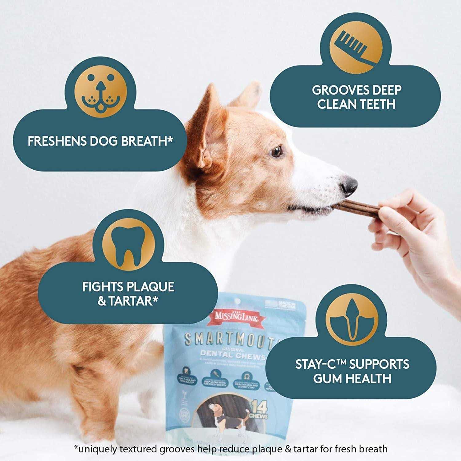 The Missing Link Smartmouth Dental Chews for Dogs - Pet Supplies online store