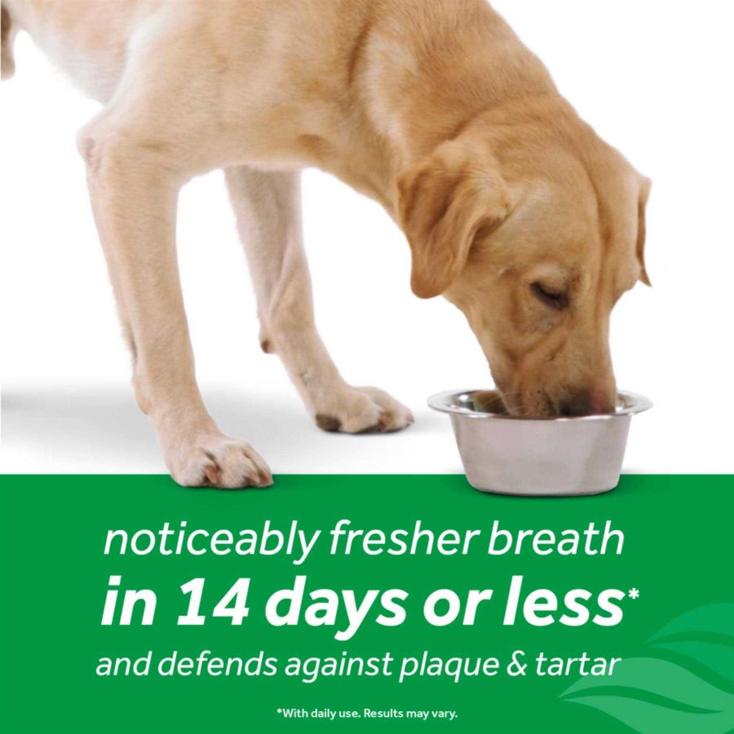 Tropiclean Fresh Breath Oral Care Dog Water Additive - Pet Supplies online store