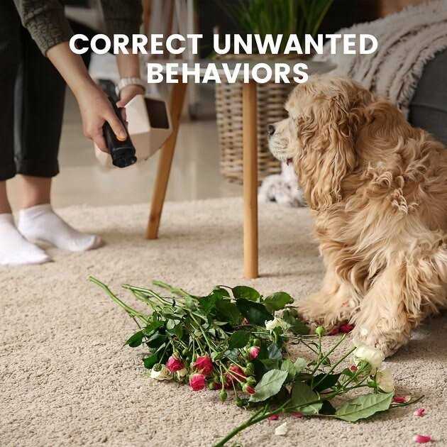 DogCare ED11 Ultrasonic Dog Bark Deterrent - Pet Supplies online store