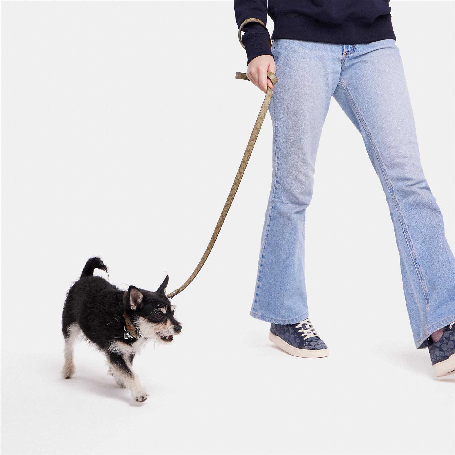 Coach Outlet Boxed Pet Leash In Signature Canvas - Pet Supplies online store