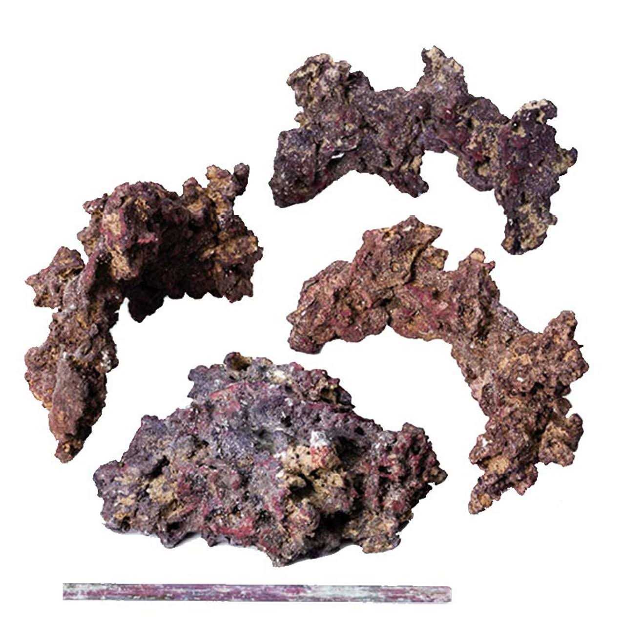 CaribSea LifeRock Reef Tree with Arches - Pet Supplies online store