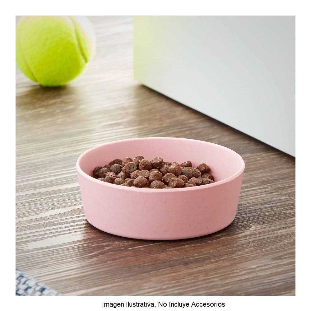 Vibrant Life Bamboo Melamine Dog Bowl - Pet Supplies online store