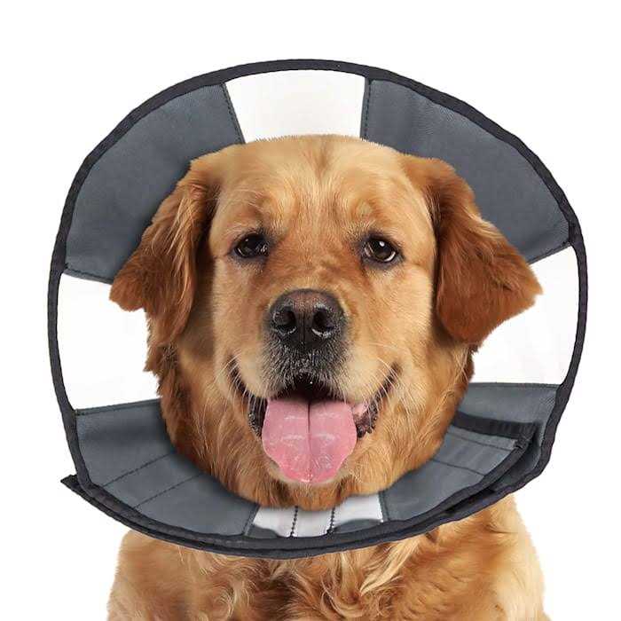 ZenPet Zen Cone Soft Recovery Collar - Pet Supplies online store
