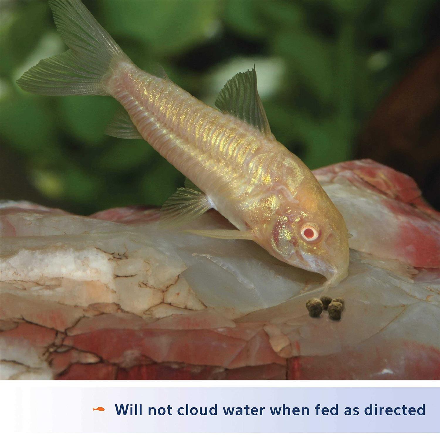 Aqueon Shrimp Pellets - Pet Supplies online store