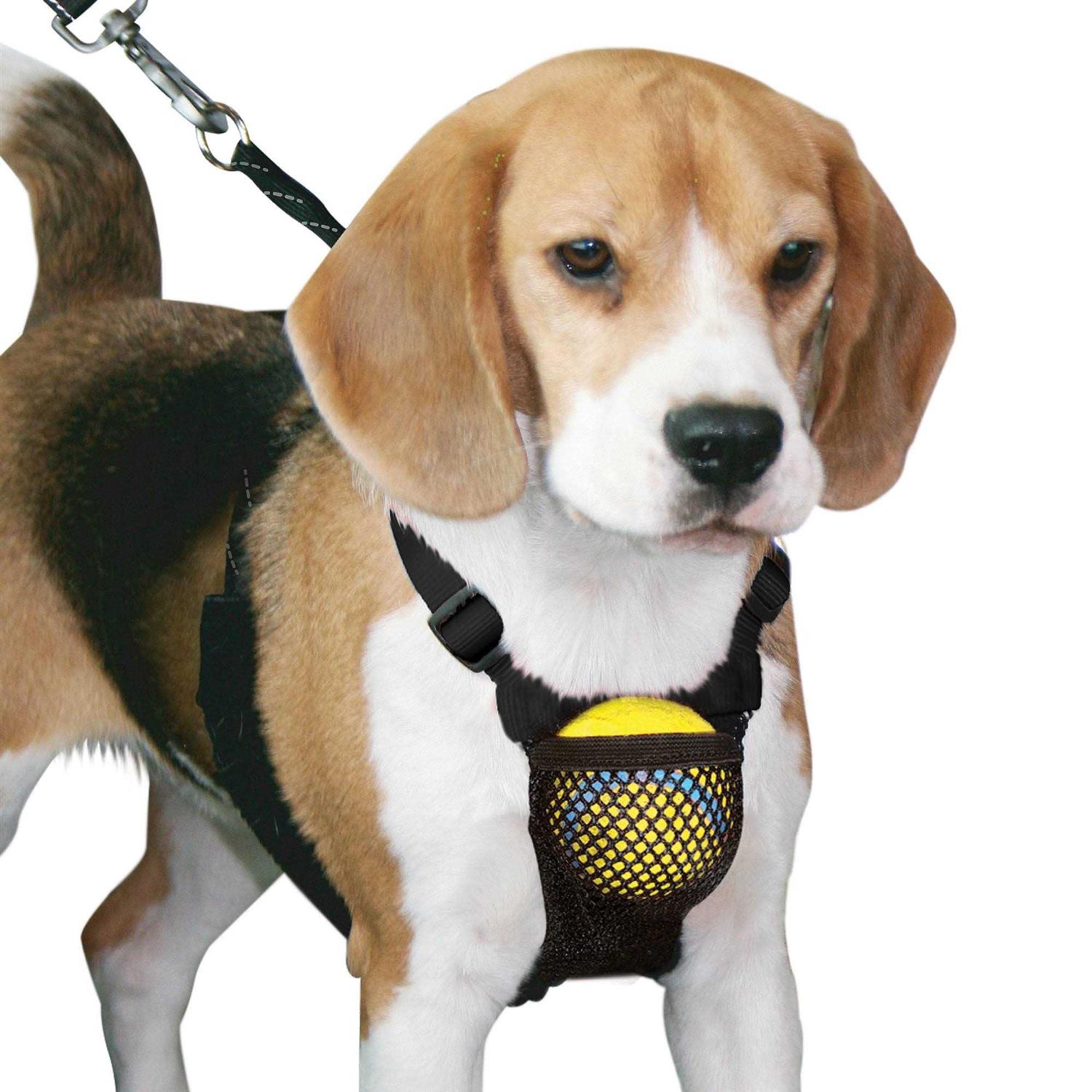Yuppie Puppy Medium Black Anti Pull Mesh Dog Harness Neck Sizes 10 16 - Pet Supplies online store
