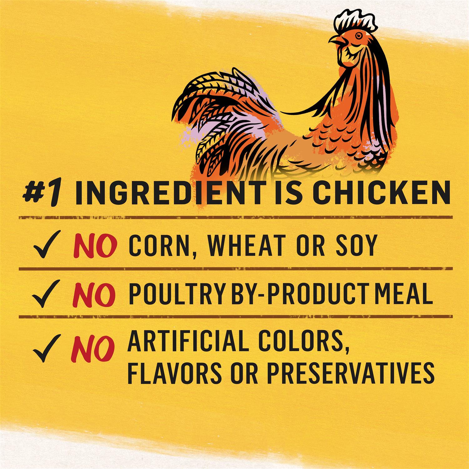 Purina Beyond Grain-Free Wet Cat Food - Pet Supplies online store