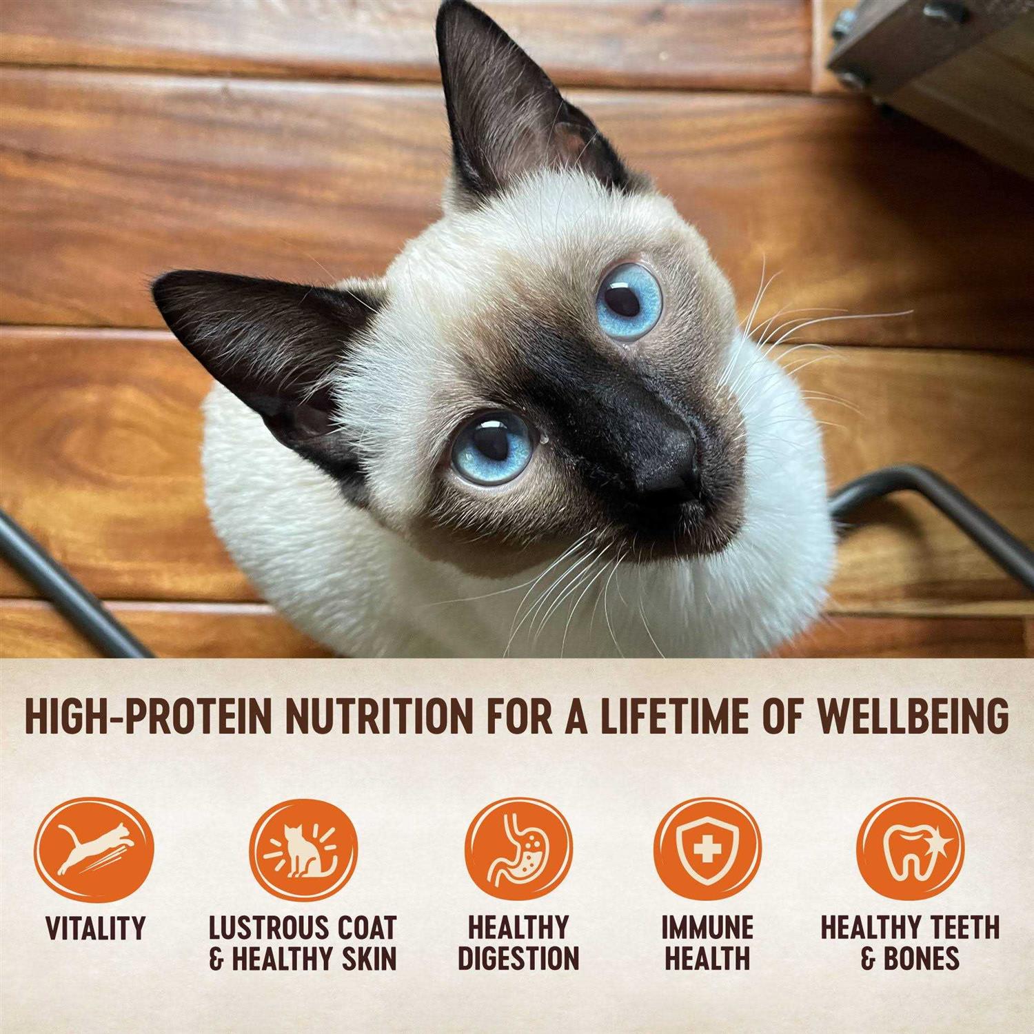 Wellness CORE Natural Grain-Free Turkey & Chicken Liver Pate Canned Kitten Food - Pet Supplies online store