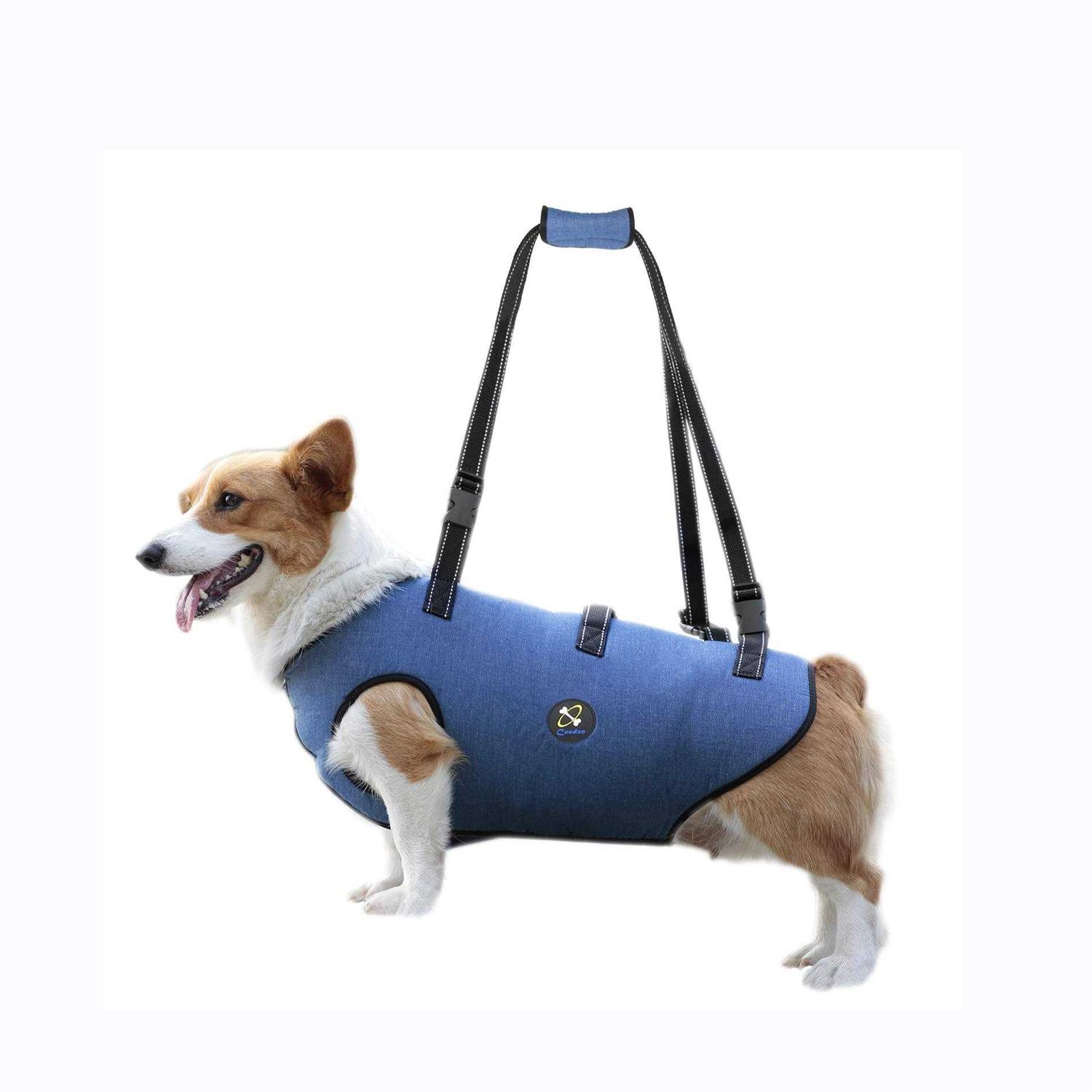 Coodeo Dog Lift Harness Support & Recovery Sling Pet Rehabilitation Lifts Vest Adjustable Breathable Straps for Old - Pet Supplies online store