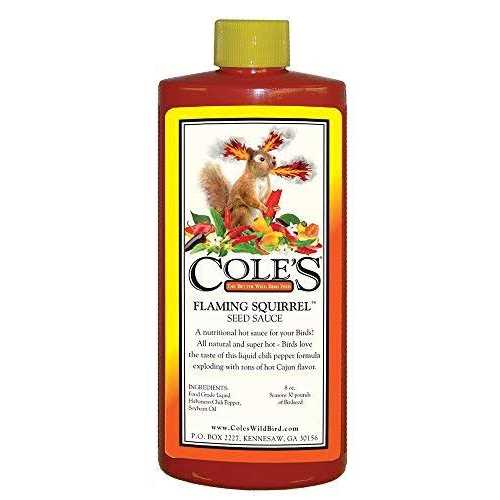 Cole's Wild Bird Products Fs08 Flaming Squirrel Seed Sauce - Pet Supplies online store