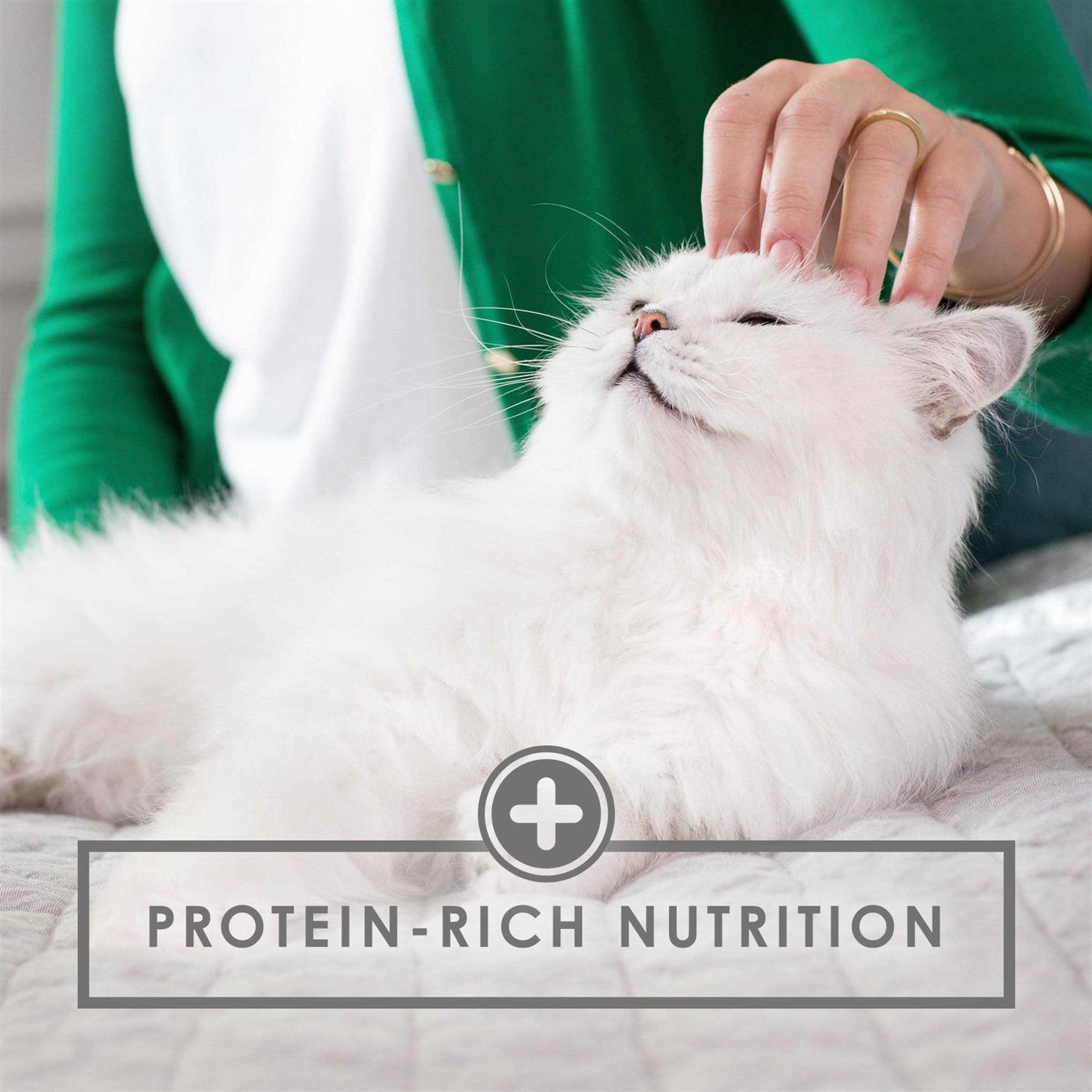 Fancy Feast Seafood Grilled Wet Cat Food - Pet Supplies online store