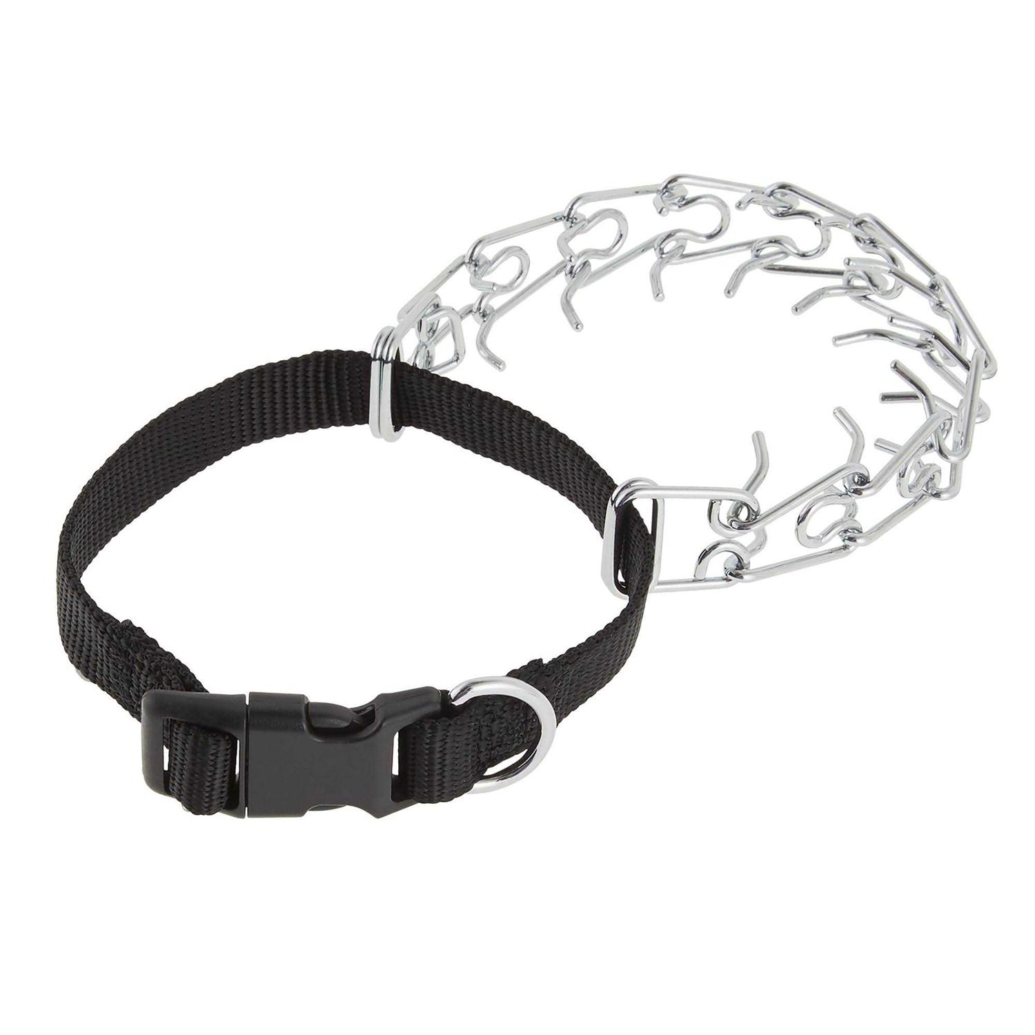 Top Paw Buckle Prong Training Dog Collar - Pet Supplies online store