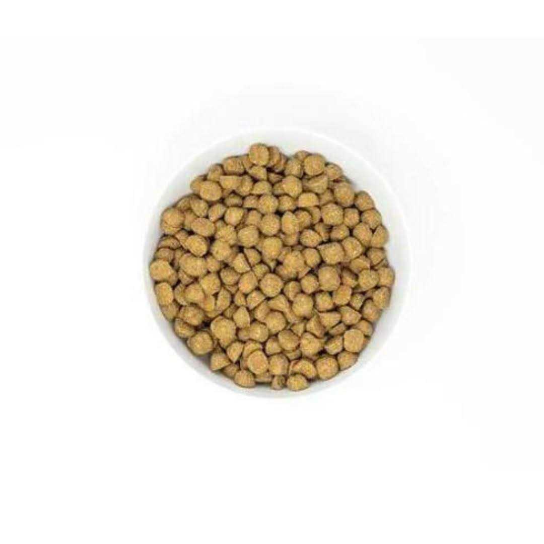 Stella & Chewy's Raw Coated Kibble Recipe with Wholesome Grains Dog - Pet Supplies online store