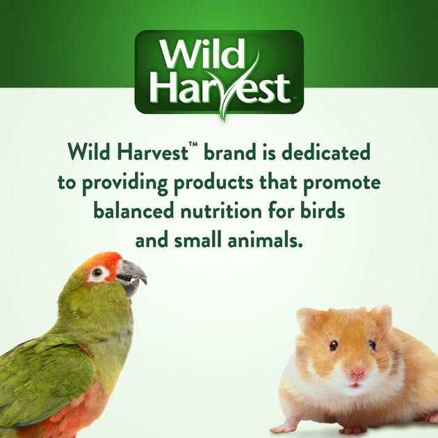 Wild Harvest Universal Blend Birds - Pet Supplies online store