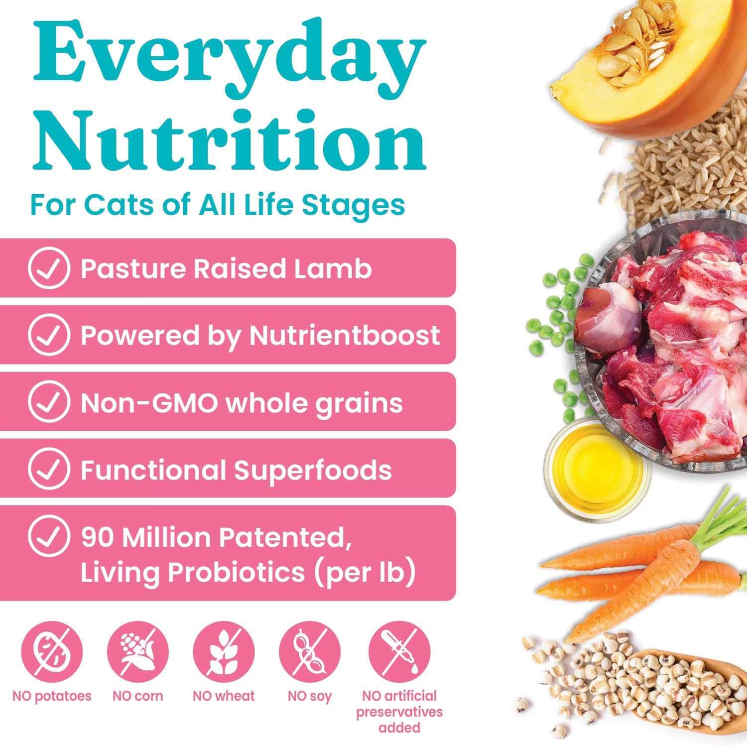 Solid Gold NutrientBoost Katz N Flocken Dry Cat Food with Lamb - Pet Supplies online store