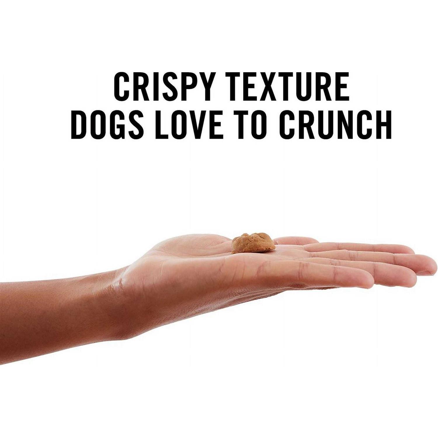 American Journey Peanut Butter Recipe Grain-Free Oven Baked Crunchy Biscuit Dog Treats - Pet Supplies online store