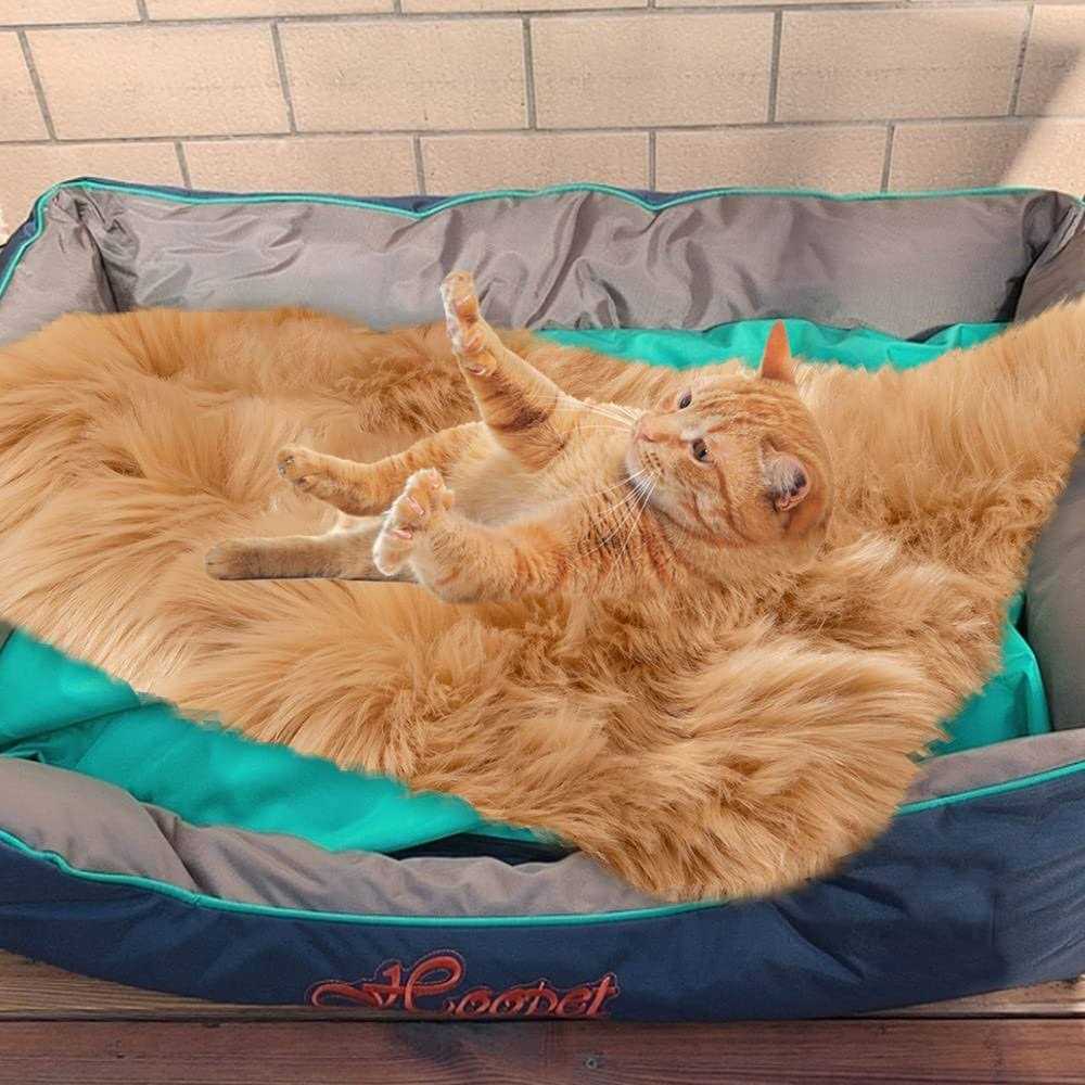Asrug Soft Faux Fur Pet Bed Mat Plush and Fluffy Pet Pad Ultra Cozy Pet Throw Rug for Dogs Cats - Pet Supplies online store