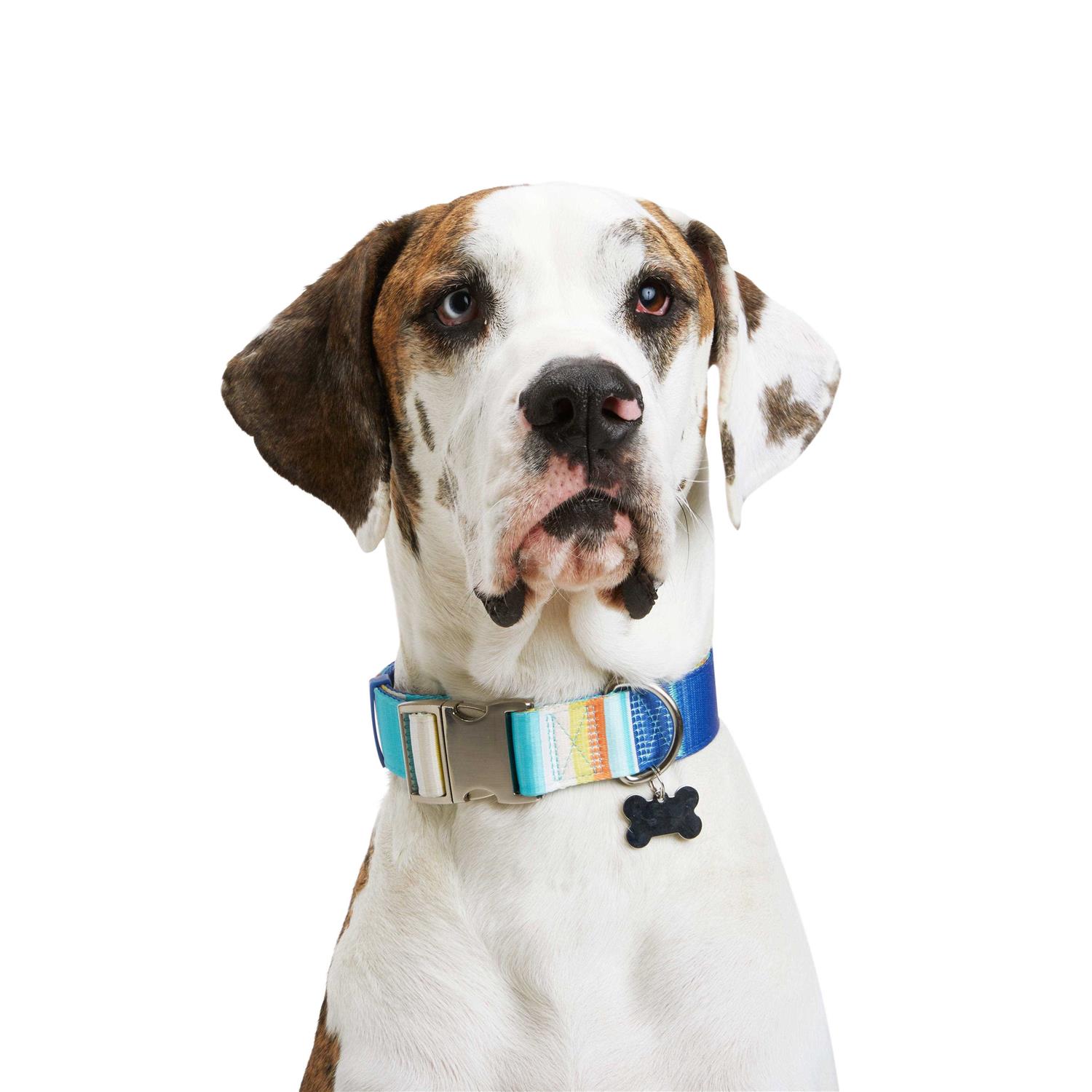 YOULY Reflective Dog Collar - Pet Supplies online store