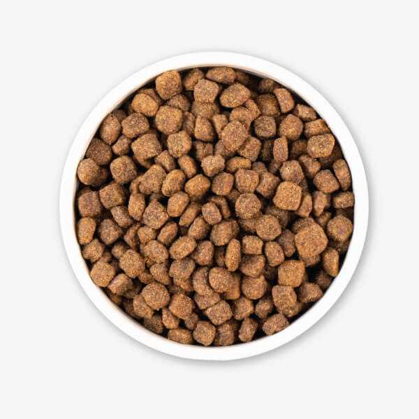 Earthborn Holistic Grain Free Dry Dog Food Meadow Feast - Pet Supplies online store