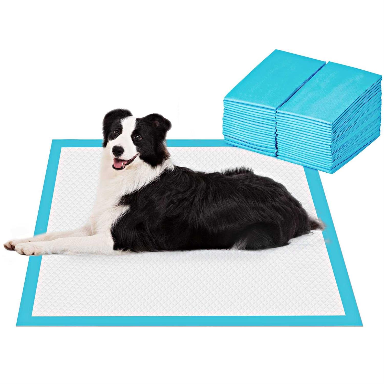 BESTLE Large Pet Training and Puppy Pads Pee Pads for Dogs Super Absorbent & Leak-Proof - Pet Supplies online store