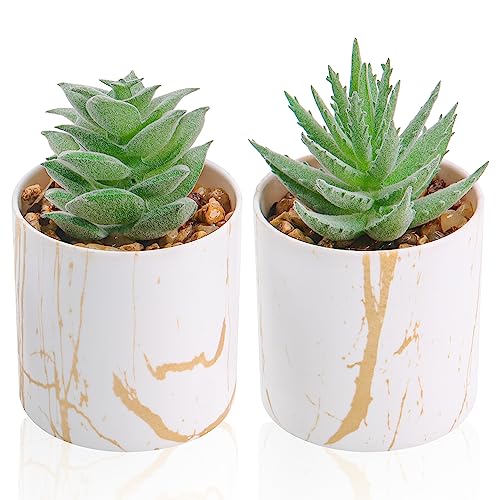 Der Rose Set of 2 Succulents Plants Artificial Mini Fake Succulents Plants for Home Office Desk Accessories for Women