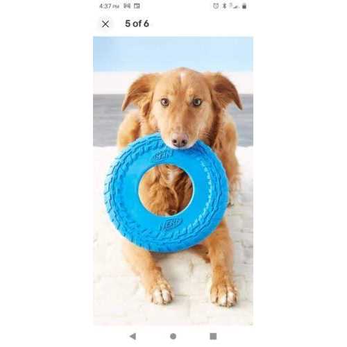 Nerf Dog Flyer Tire Dog Toy - Pet Supplies online store