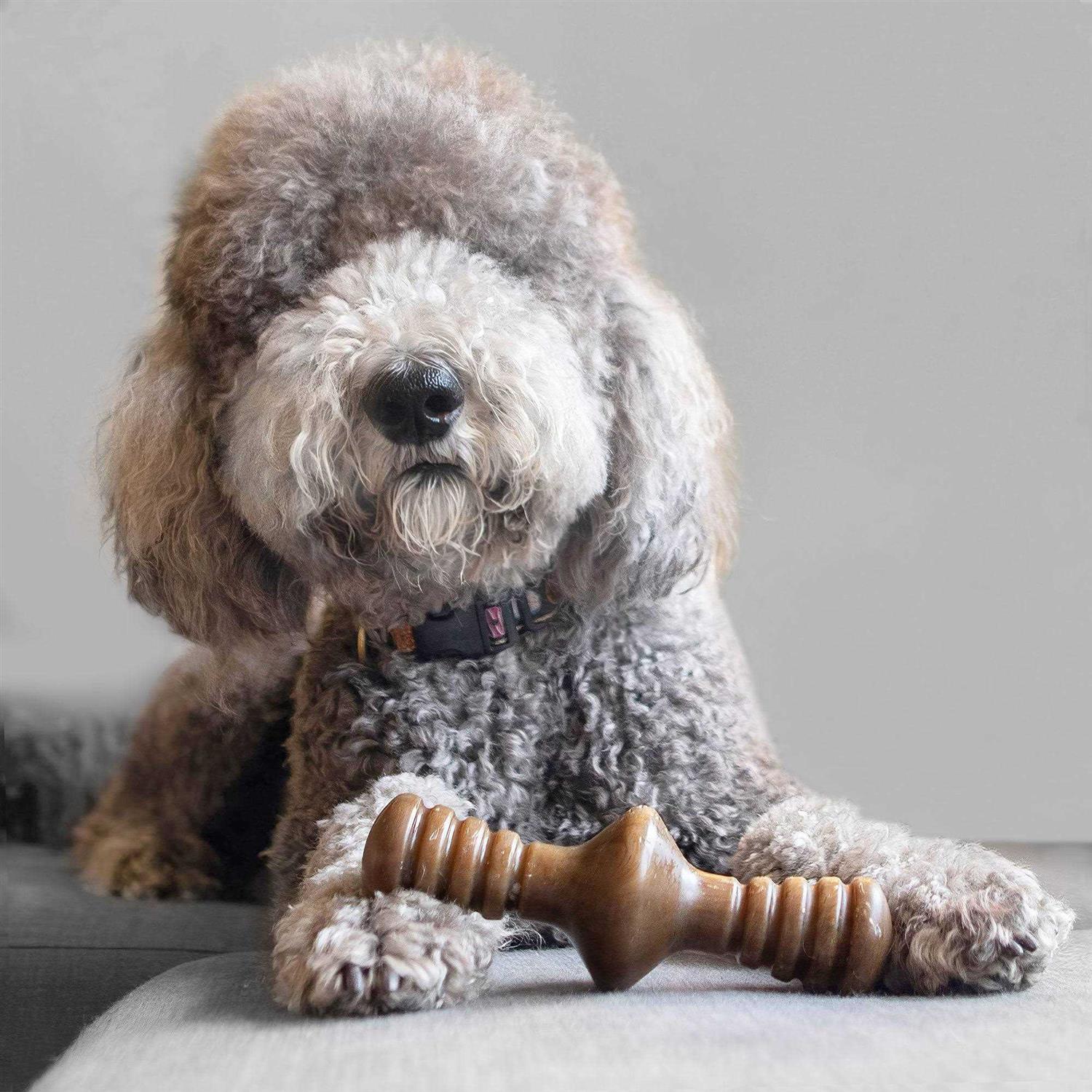 Benebone Chicken Zaggler Dog Chew Toy - Pet Supplies online store