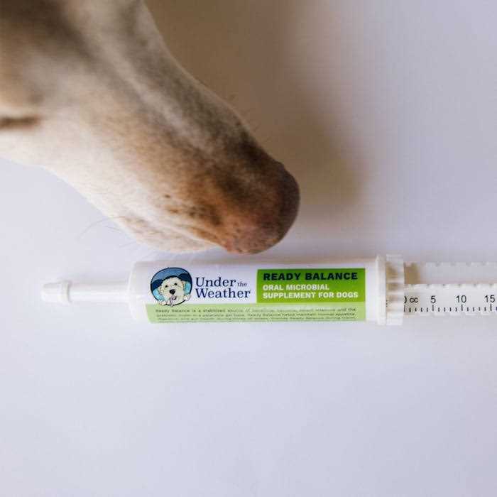 Under the Weather Ready Balance for Dogs - Pet Supplies online store