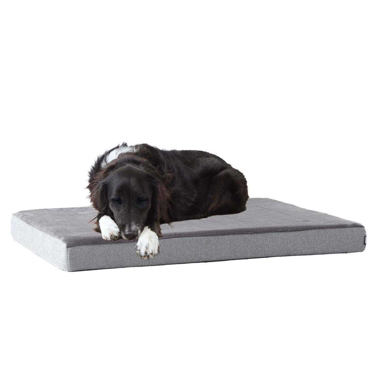 Barkbox Memory Foam Platform Dog Bed Plush Mattress for Orthopedic Joint Relief - Pet Supplies online store