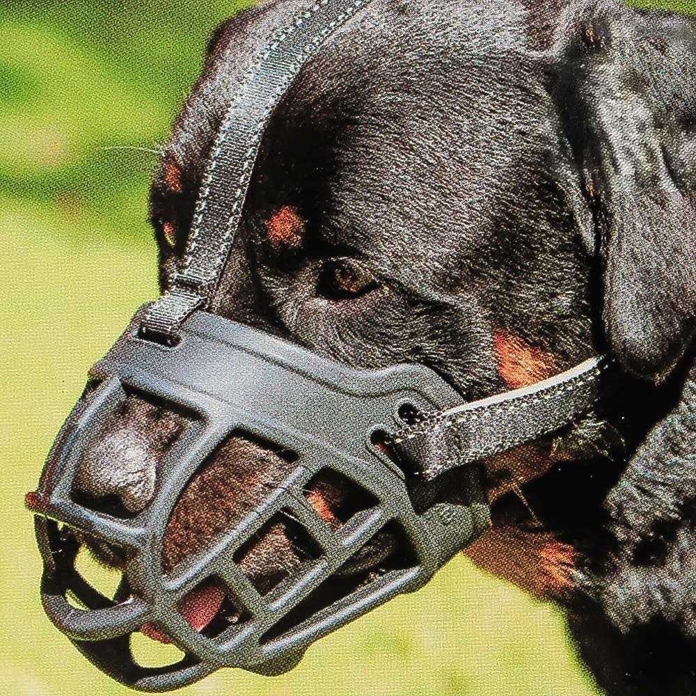 Barkless Dog Muzzle,Soft Basket Silicone Muzzles for Dog, Best to Prevent Biting, Chewing and Barking, Allows Drinking and Panting - Pet Supplies online store