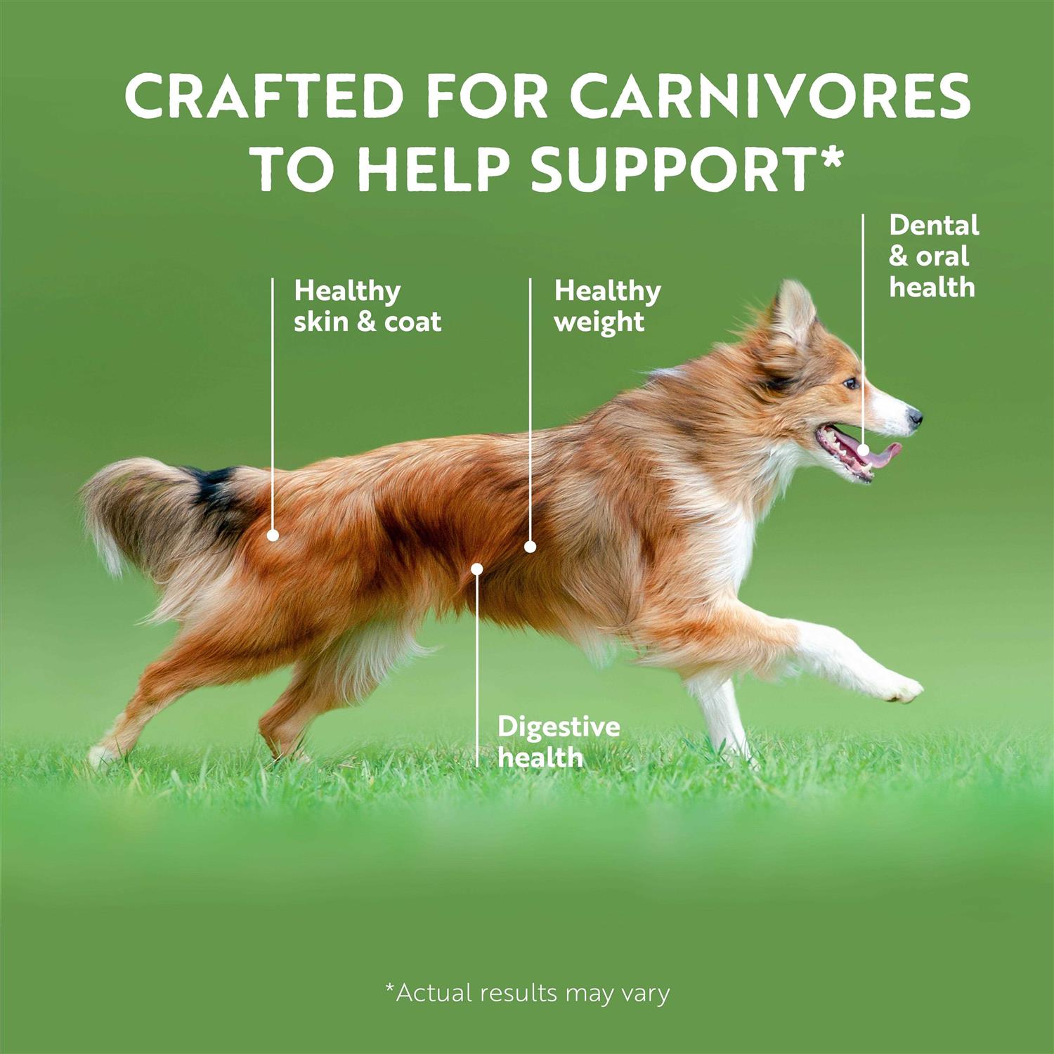 Ziwi Peak Recipe Canned Dog Food - Pet Supplies online store