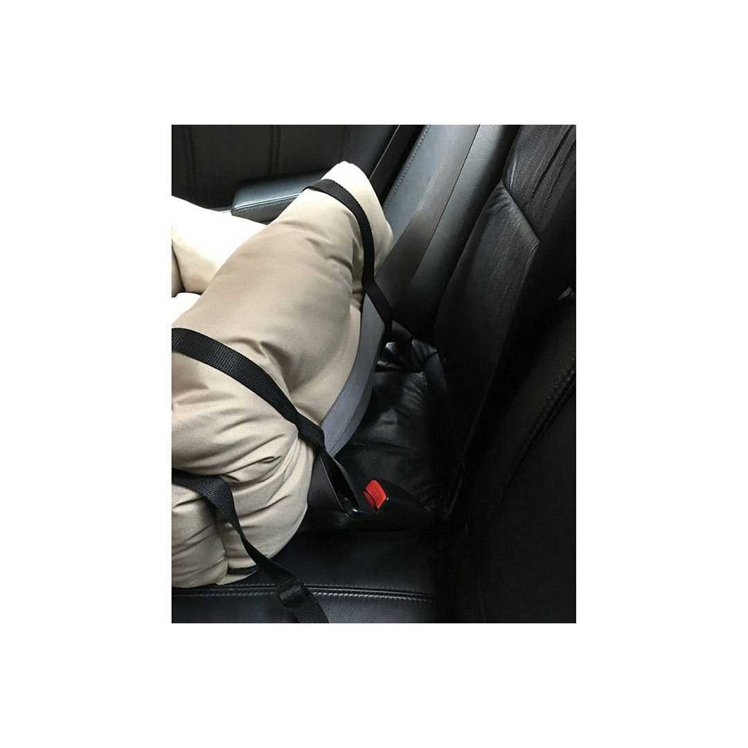 Precious Tails Travel Pet Bed - Pet Supplies online store