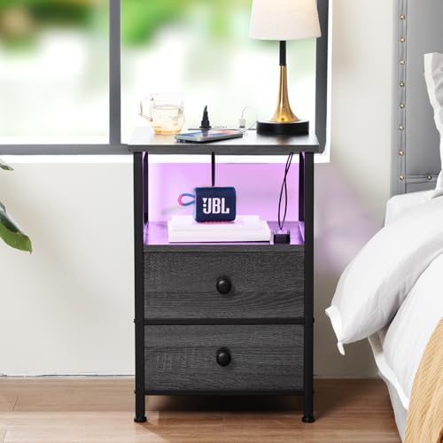 AMHANCIBLE Night Stand Set 2, LED Nightstands for Bedroom Set of 2 with Charging Station, End Table with USB Port and Outlet, Side Table with 2 Storage Drawers for Living Room, Ink Grey HET052LKG