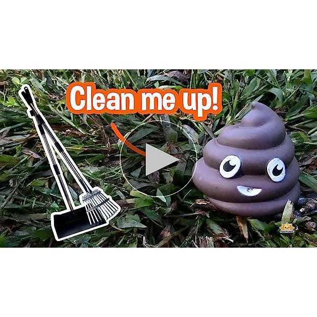 Bodhi Dog Metal Long Handle Tray and Rake Pooper Scooper Small, Medium, Large, XL Pets - Pet Supplies online store