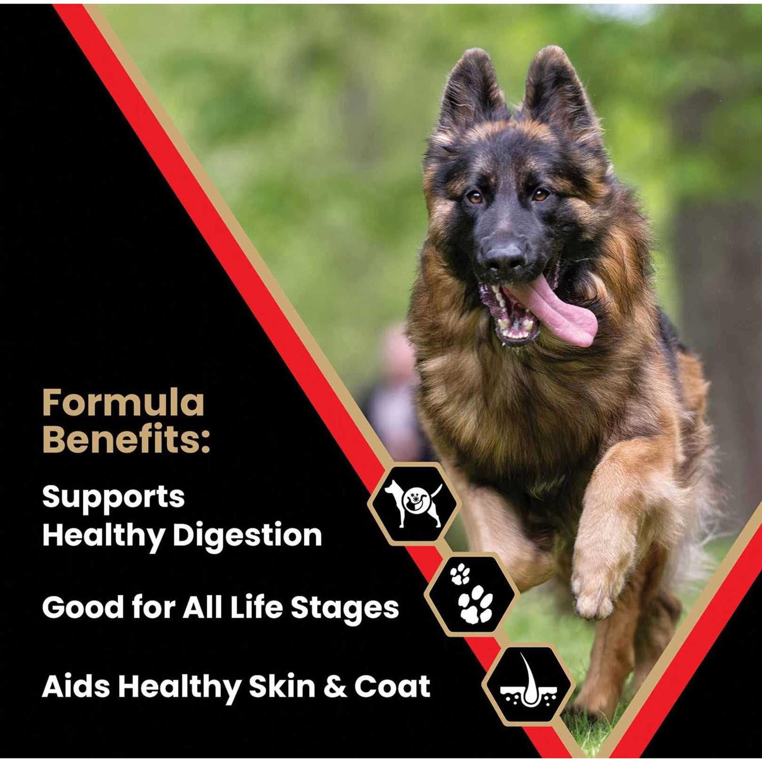 Victor High Energy Dry Dog Food - Pet Supplies online store