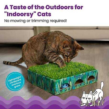 Catstages Grass Patch Hunting Box Cat Toy 71428 - Pet Supplies online store
