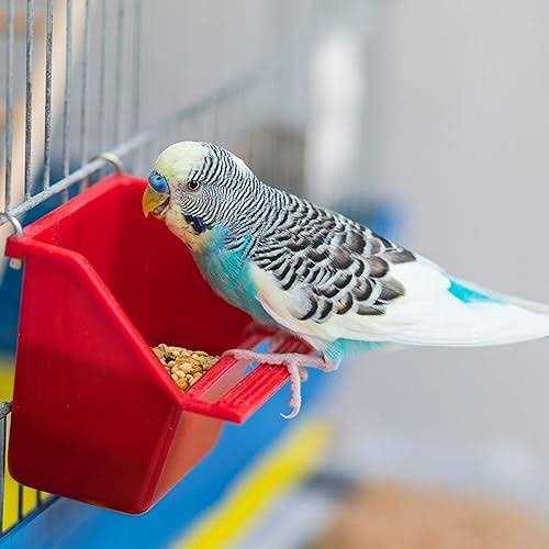 Wild Harvest Molting Supplement for Small Animals - Pet Supplies online store