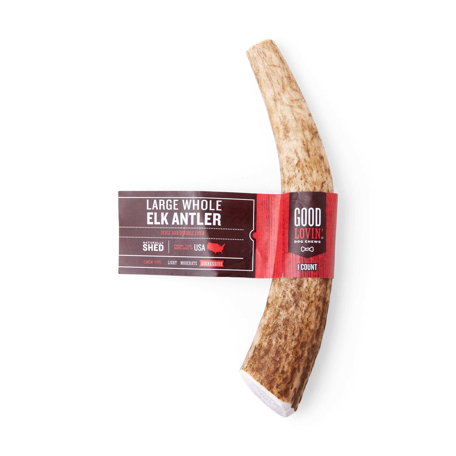 Good Lovin' Naturally Shed Large Whole Elk Antler Dog Chew - Pet Supplies online store