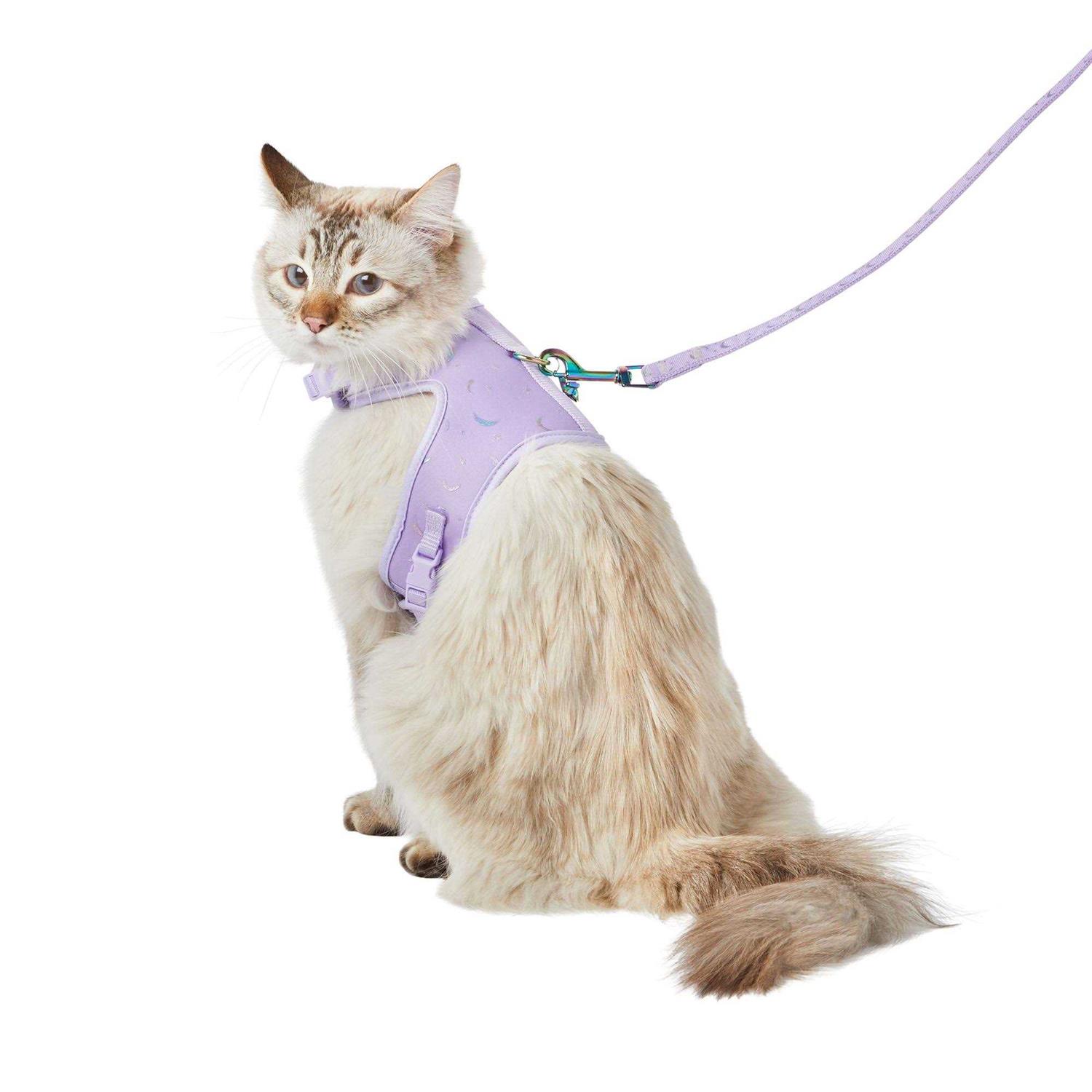 Whisker City Cat Leash & Harness Combo - Pet Supplies online store
