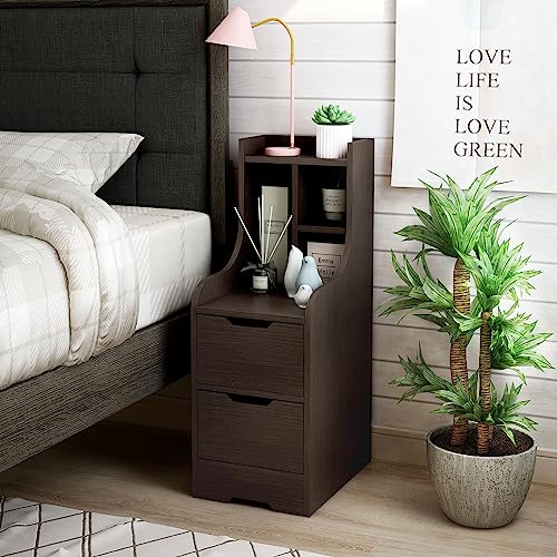24/7 Shop at Home Alaric Modern 2-Drawer Wood Nightstand, Bedside Table with Open-Shelf for Bedroom, Living Room, Home Office, Walnut Brown